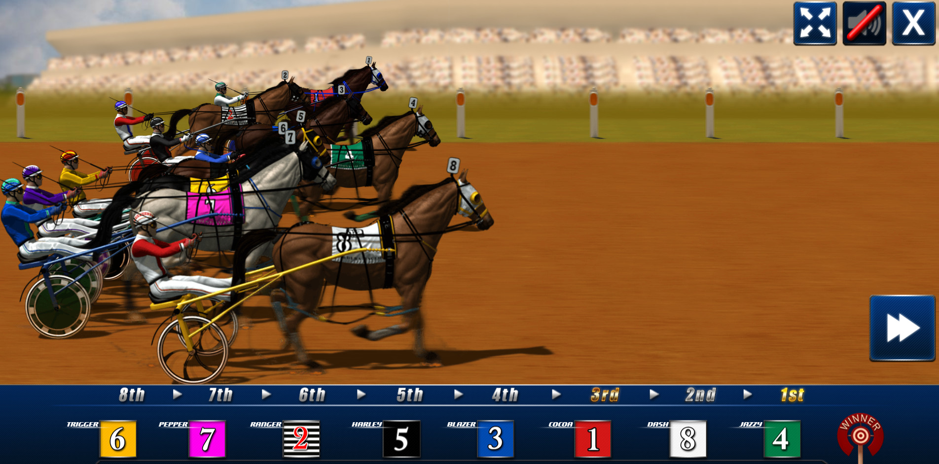 Virtual horse racing game.