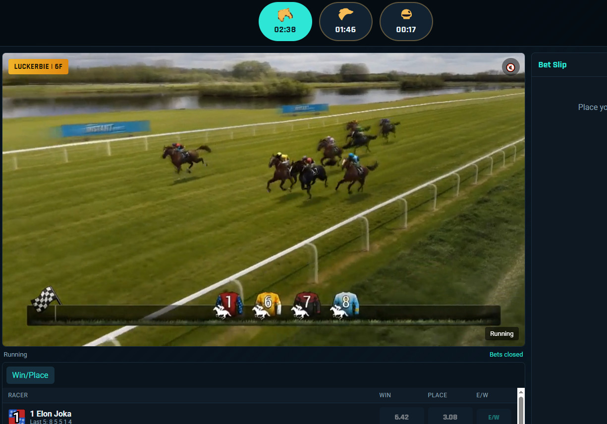 Horse racing, dog racing, and virtual auto racing sports betting game.